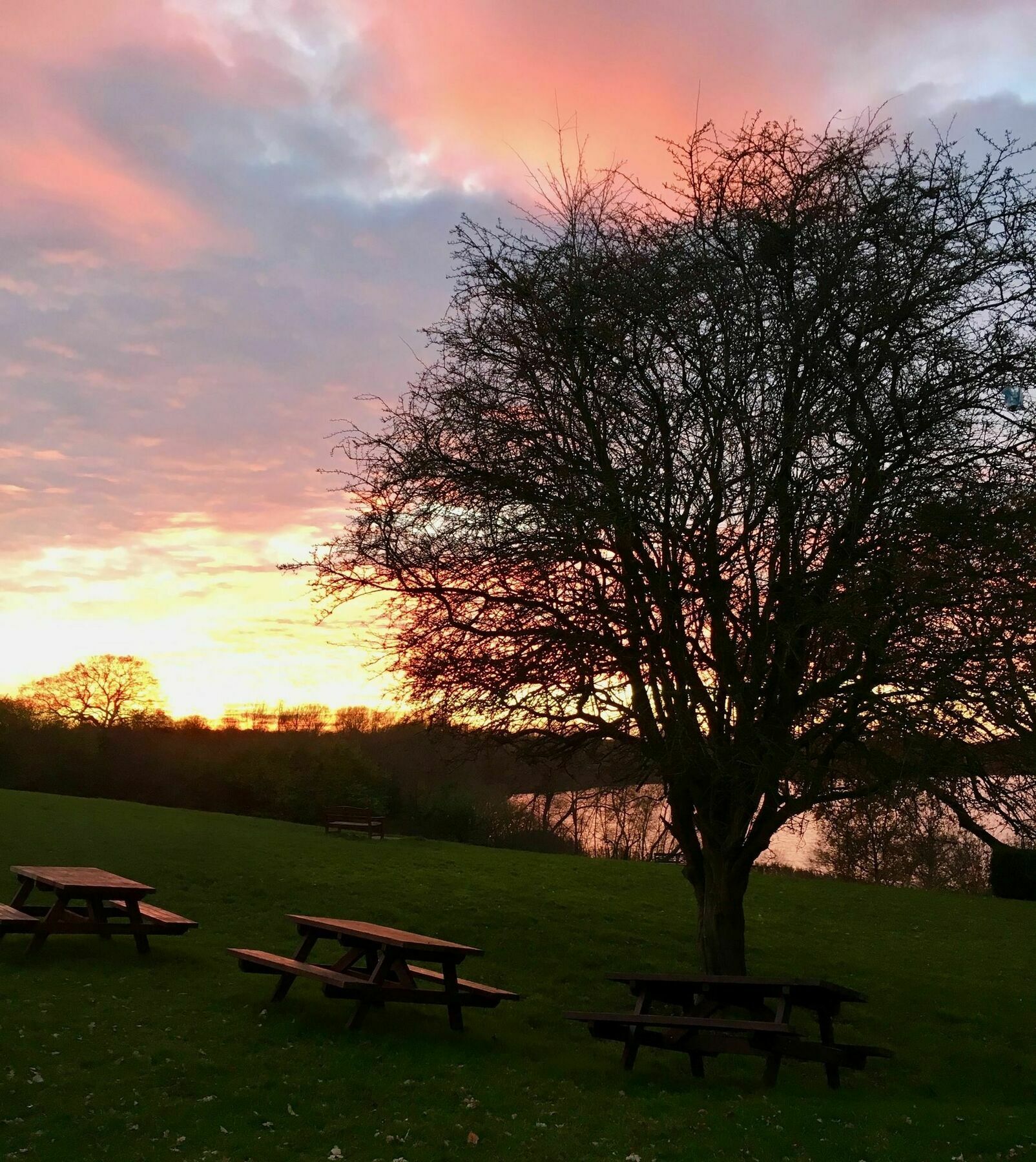 Pickmere Country House Esterno foto